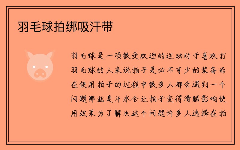 羽毛球拍绑吸汗带