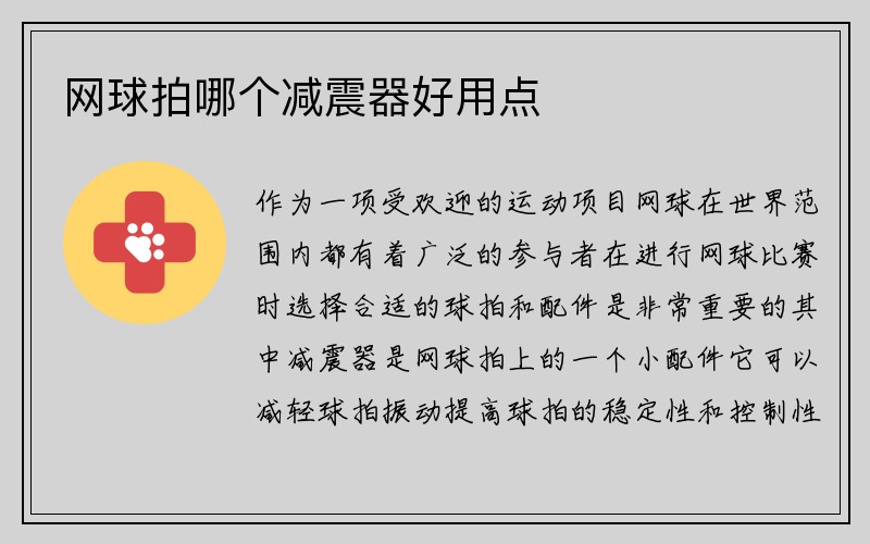 网球拍哪个减震器好用点